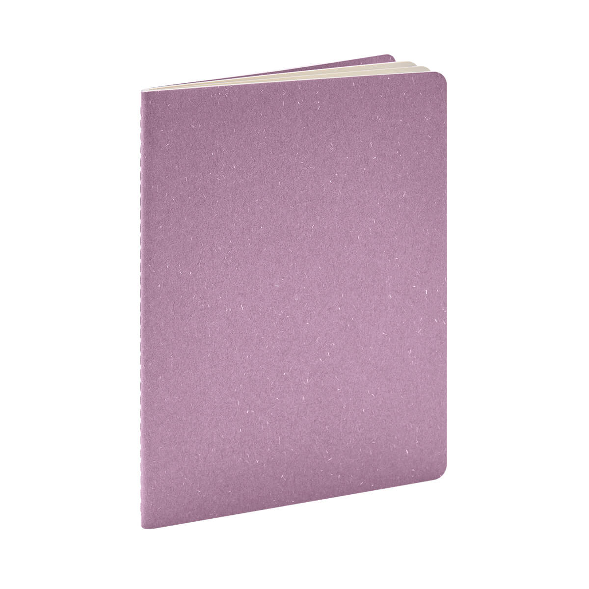LIBRETA DEREBO HL 9095