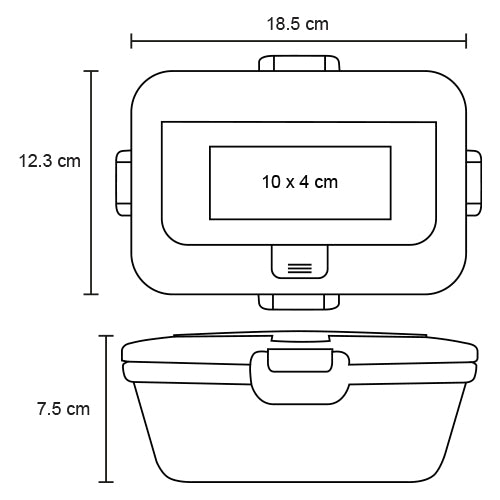 CONTENEDOR CHILI HO 119