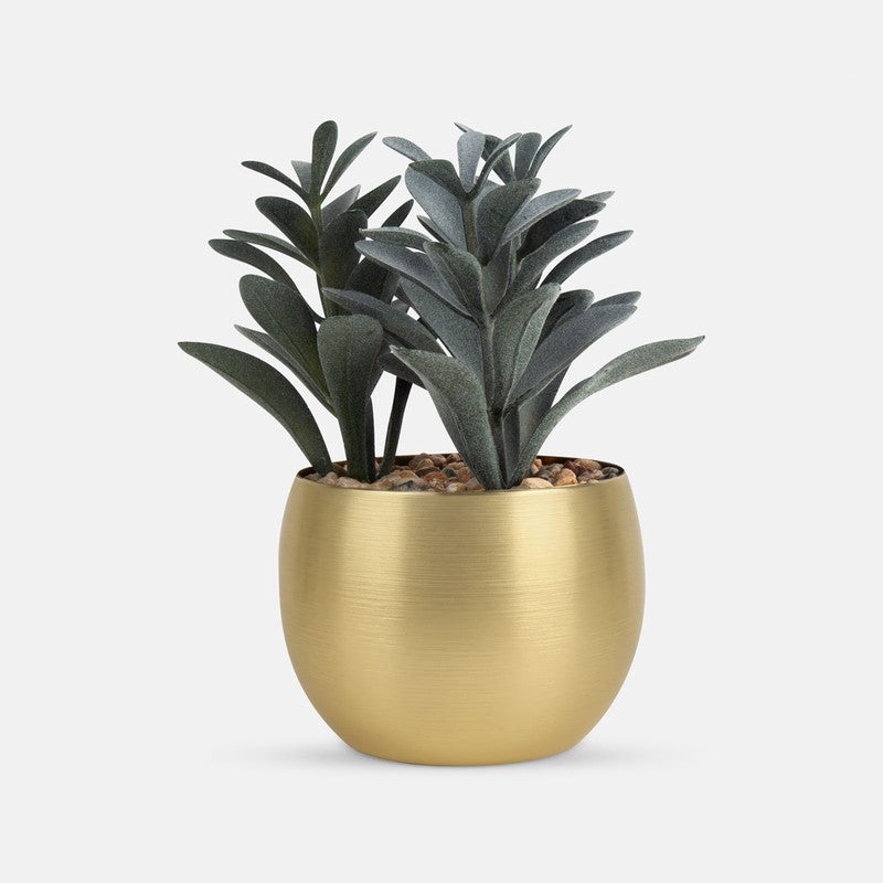 PLANTA DECORATIVA DAKAR KTC 988
