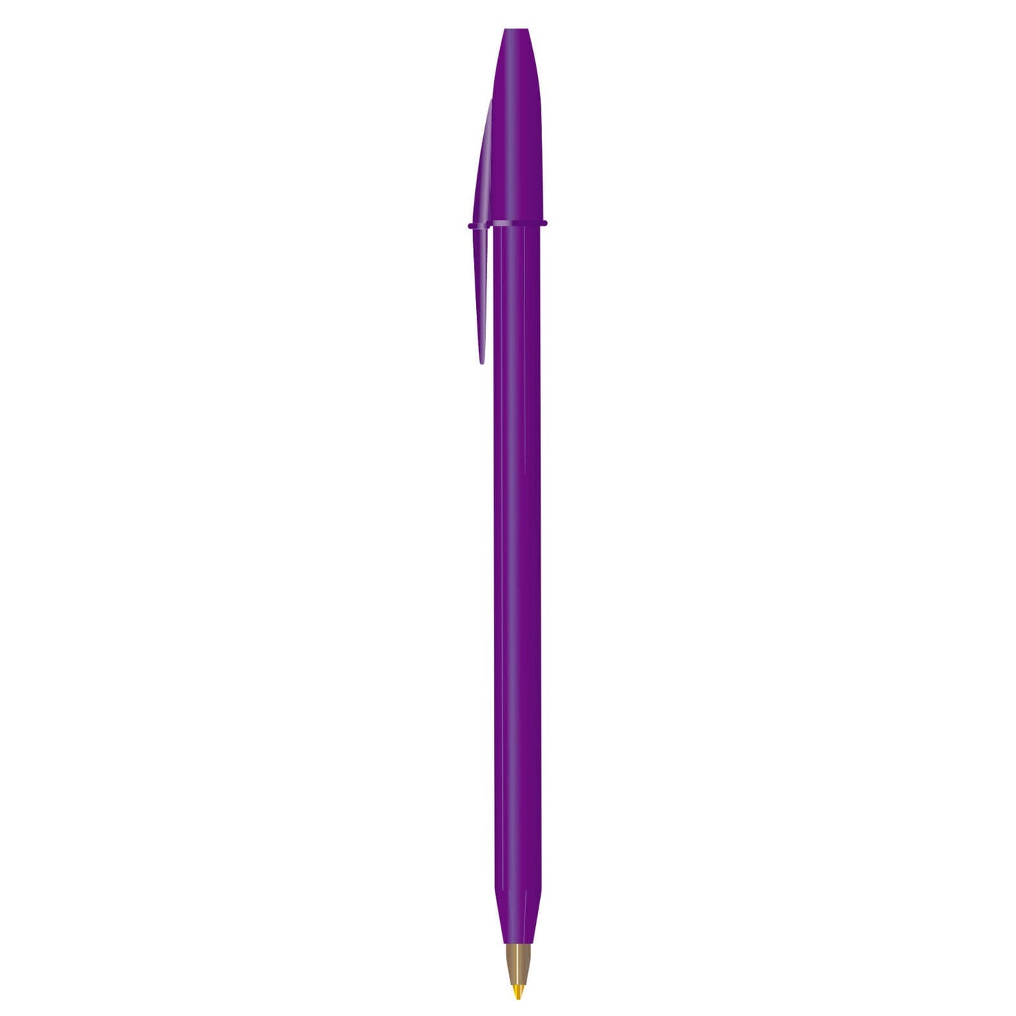 BIC ROUND STIC TN