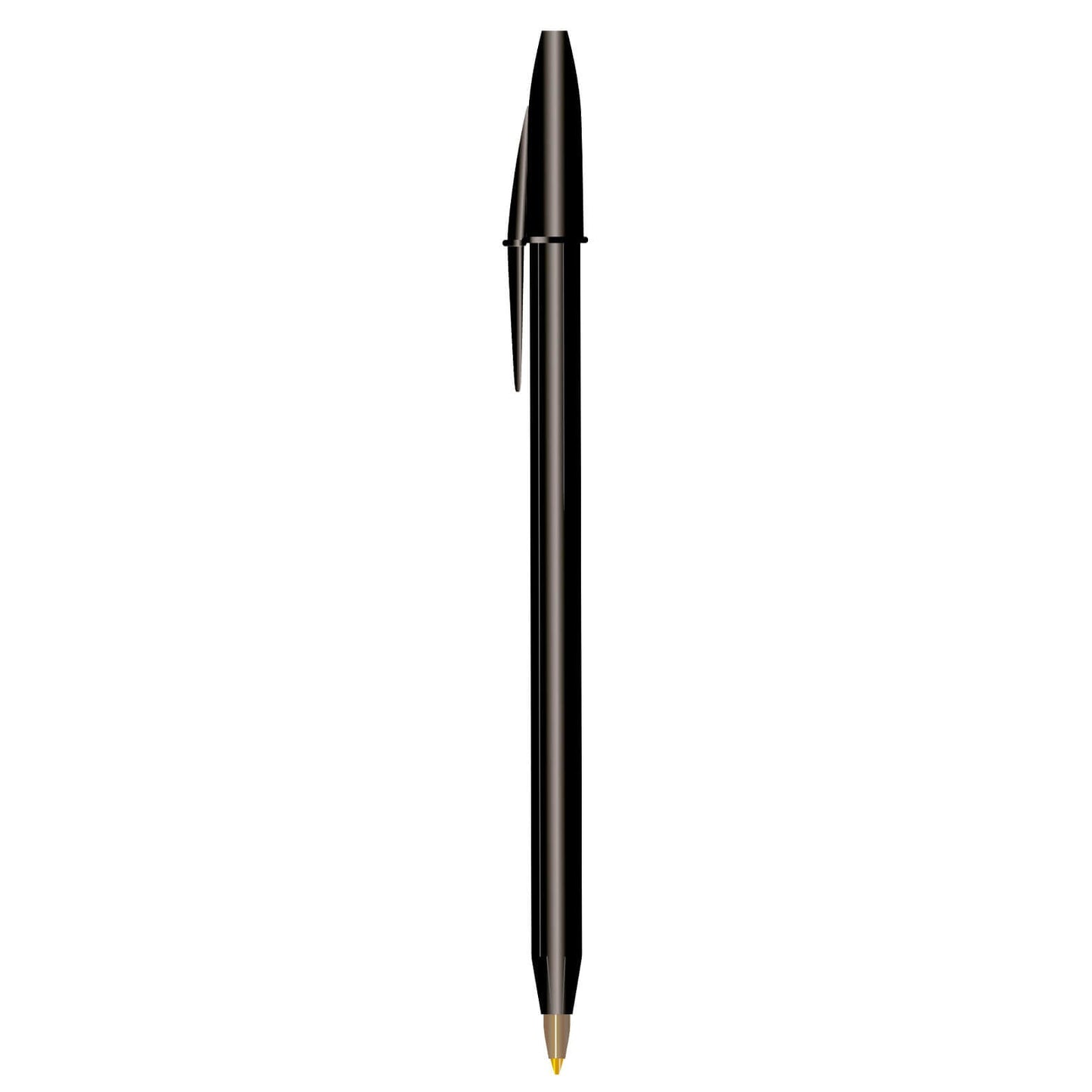 BIC ROUND STIC TN