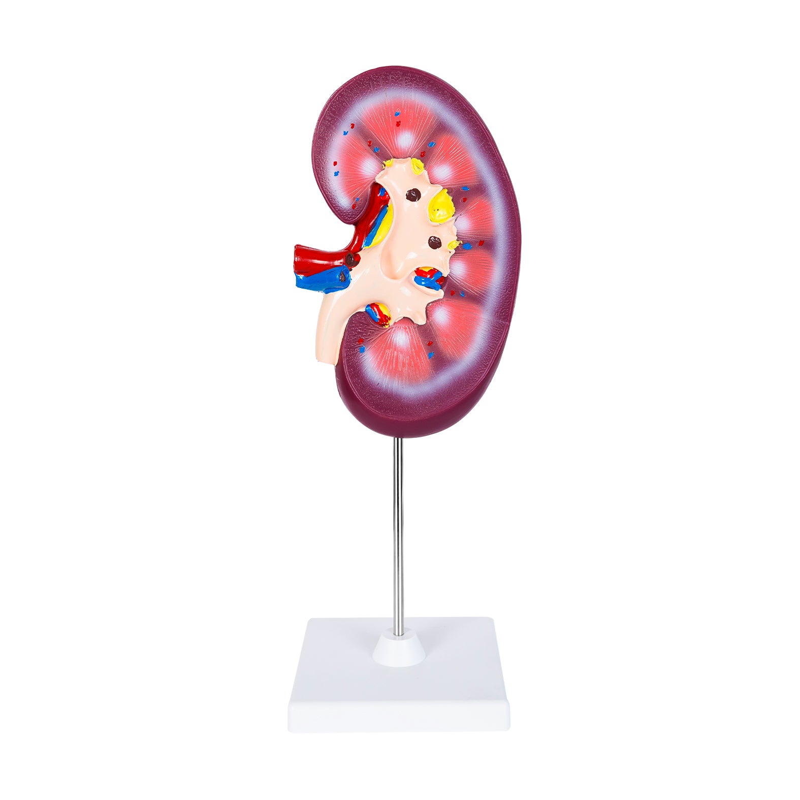 UNICO
