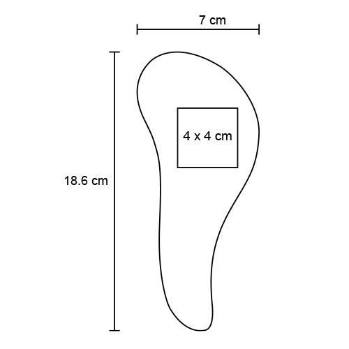 BELA CP 087