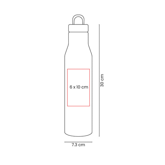 TERMO ASPEN EVS 002