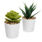 SET DE PLANTAS ALISO KTC 750