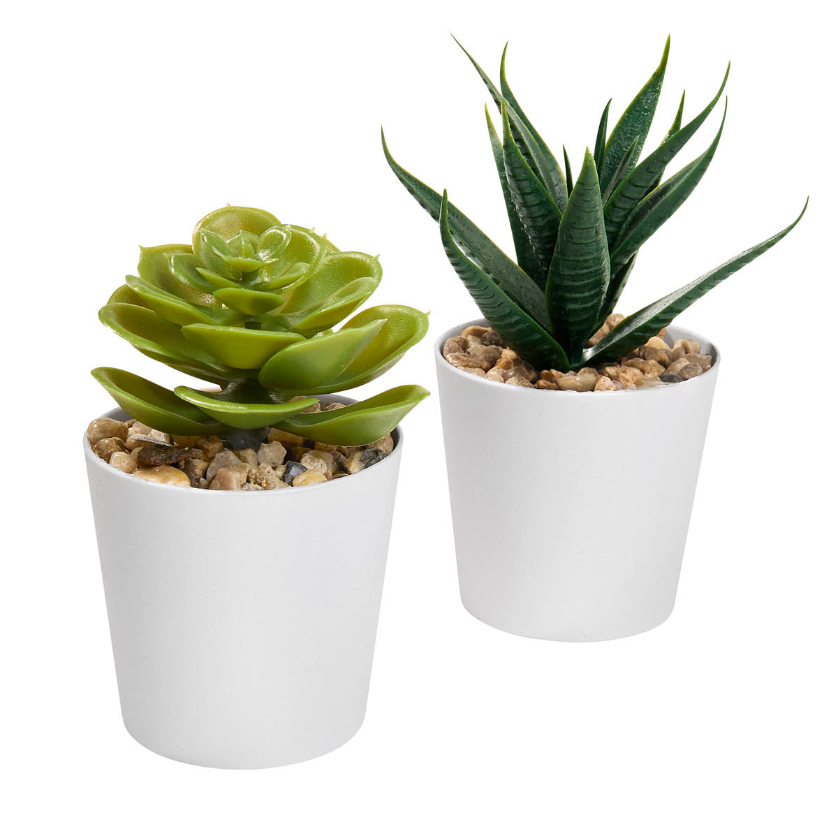 SET DE PLANTAS ALISO KTC 750