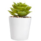 SET DE PLANTAS ALISO KTC 750