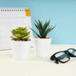 SET DE PLANTAS ALISO KTC 750