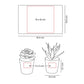 SET DE PLANTAS ALISO KTC 750