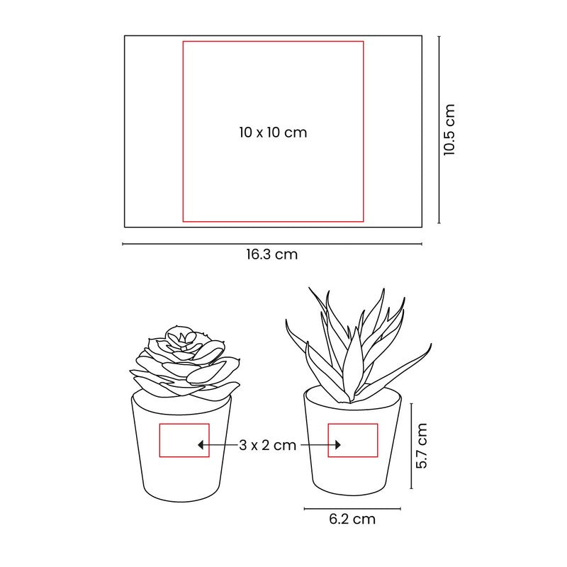 SET DE PLANTAS ALISO KTC 750