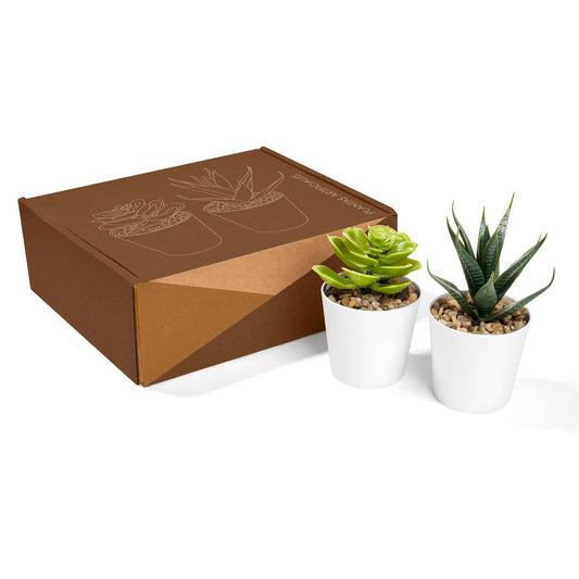 SET DE PLANTAS ALISO KTC 750
