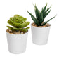SET DE PLANTAS ALISO KTC 750