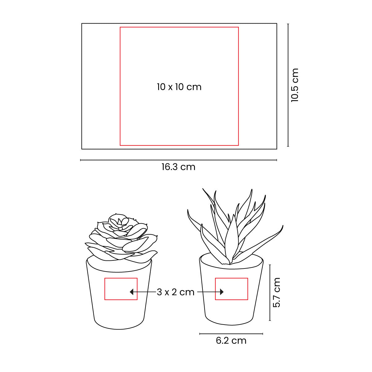 SET DE PLANTAS ALISO KTC 750