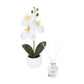 SET DECORATIVO FIORA KTC 978