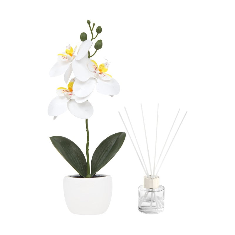 SET DECORATIVO FIORA KTC 978