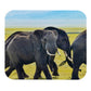 MOUSE PAD RECTANGULAR MOP 002