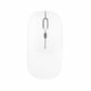 MOUSE DOUGLAS MOU 100
