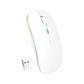 MOUSE DOUGLAS MOU 100