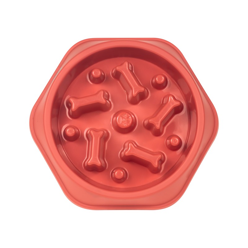 PLATO OSSIS PET 010