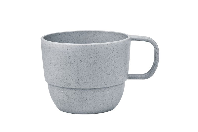GRIS