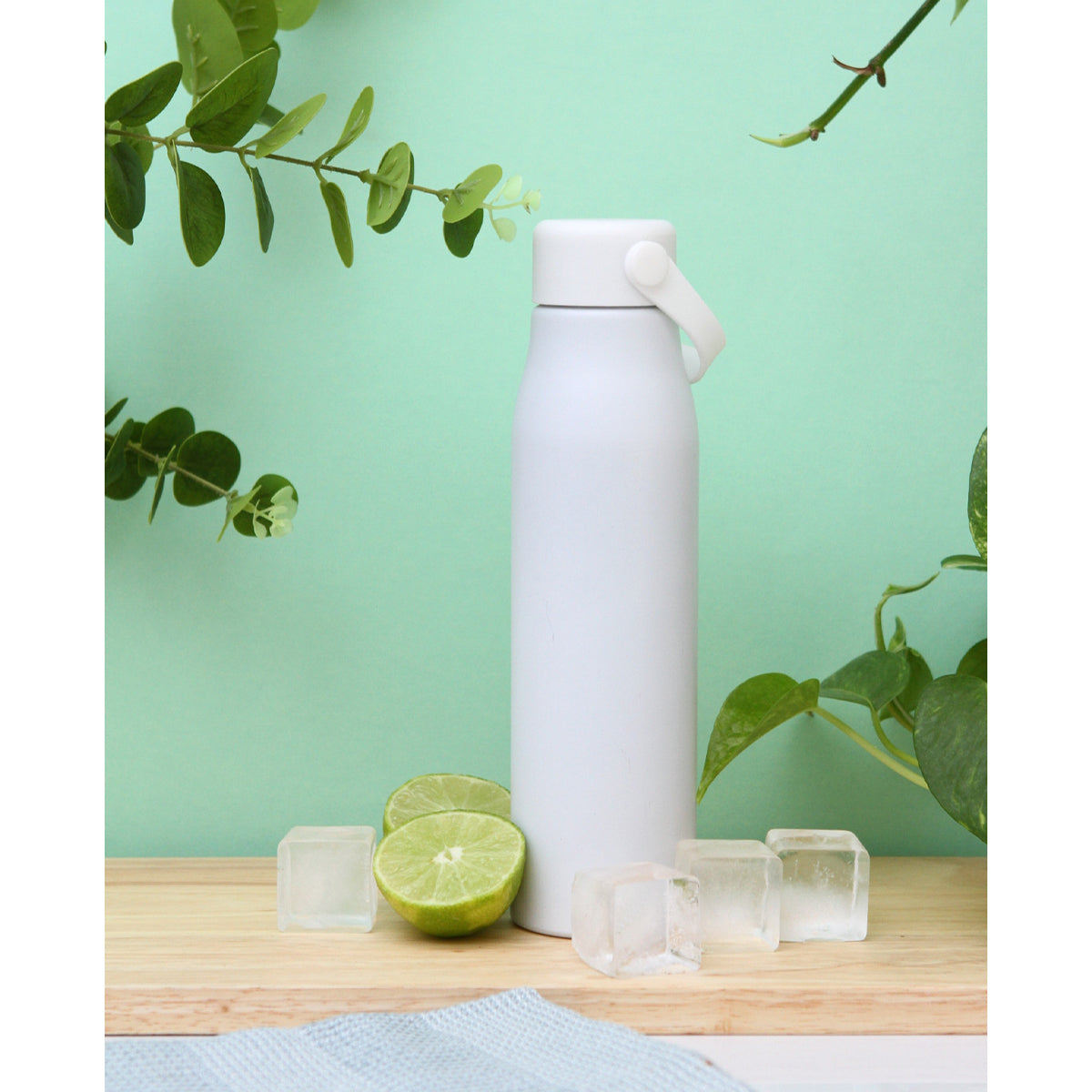 BOTELLA VIDIN TE-273