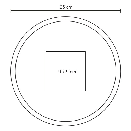 FRISBEE DISC TL 005